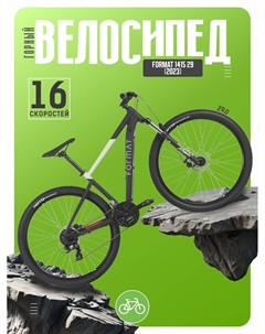 Горный велосипед 1415 29, год 2023, цвет Черный-Серебристый, ростовка 17 Format