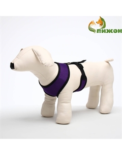 Шлейка мягкая из неопрена, размер l, ош 39 см, ог 36-46 см, фиолетовая Пижон