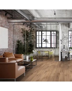 Линолеум «Парадокс Дуб Европейский» 32 класс 2.5 м Juteks