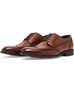 Оксфорды Aamari, желто-коричневый Steve madden