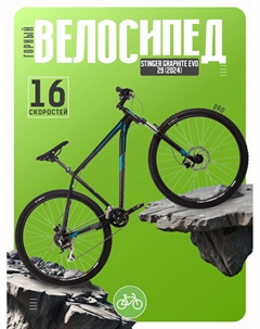 Горный велосипед Graphite Evo 29, год 2024, цвет Черный, ростовка 18 Stinger