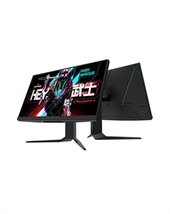 Игровой монитор ThundeRobot DQ27F300L, 27", 2560х1440, 300 Гц, Fast IPS, черный Thunderobot