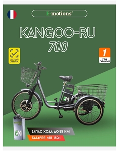 Трехколесный электровелосипед E-motions' KANGOO-RU 700w, Серый