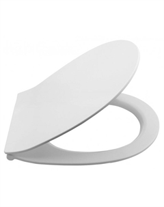 Крышка-сиденье D80 лососевый матовый 40D80541I-S Isvea