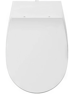 Крышка-сиденье D80 белый глянцевый 40D80200I-S Isvea