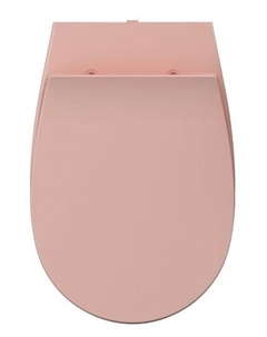 Крышка-сиденье D40 лососевый матовый 40D40541I-S Isvea