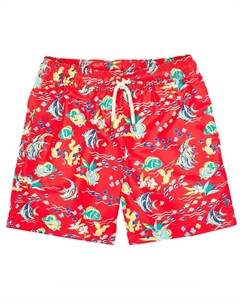 Плавки с принтом, красный Polo ralph lauren