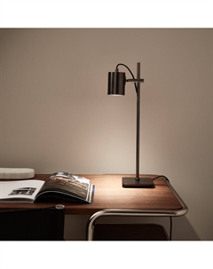 Регулируемый точечный светильник для чтения Girevole серый Am.pm.