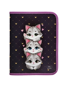 Папка для тетрадей, а5, пластиковая, 18×23×2.5 см Calligrata