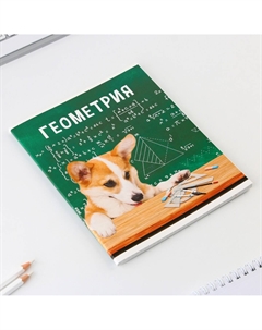 Тетрадь в клетку, предметная, 48 л.,на скрепке, а5 Artfox study