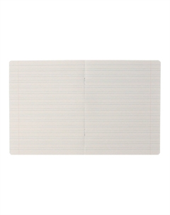 Комплект тетрадей из 10 штук, 12 листов в частую косую линию Calligrata