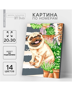 Картина по номерам на холсте с подрамником Школа талантов