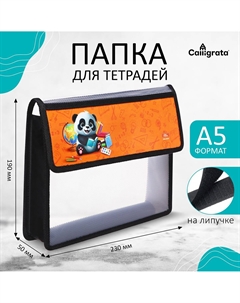 Папка для тетрадей, а5, пластиковая, 23×19×5 см Calligrata