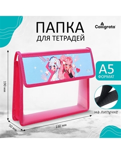 Папка для тетрадей, а5, пластиковая, 23×19×5 см Calligrata