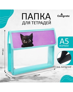Папка для тетрадей, а5, пластиковая, 23×19×5 см Calligrata