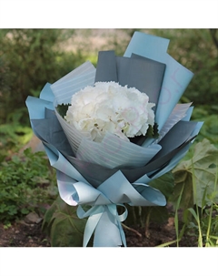 Белая гортензия в упаковке Florpro