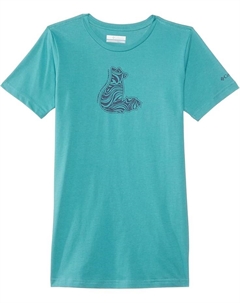 Рубашка Mission Lake Short Sleeve Graphic Shirt, цвет Teal/Foxy Swirl Columbia kids