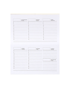 Планинг недатированный a6, с открывными листами, 50 листов, на склейке, мягкая обложка, business deal Calligrata