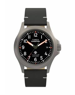 Часы, черный Timex