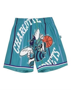 Спортивные шорты x NBA Big Face Shorts 'Charlotte Hornets', зеленый Mitchell and ness