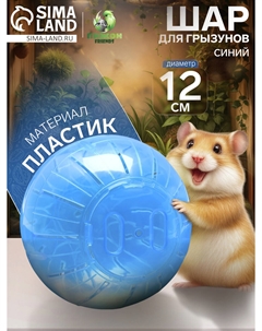 Шар для грызунов Пижон