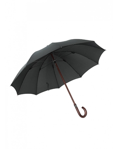 Зонт-трость Classic Elegant Birdiepal