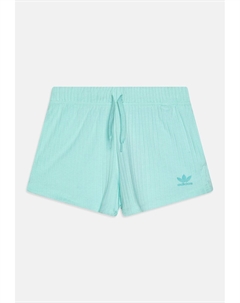 Шорты, бирюзовый Adidas originals