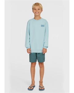 Толстовка LOGO CREW, синий O`neill