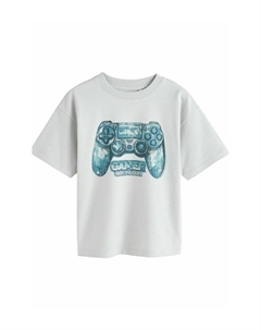 Футболка с принтом SHORT SLEEVE GRAPHIC STANDARD, серый Next