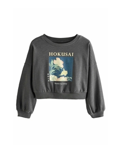 Толстовка HOKUSAI LICENSE, серый Next