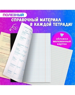 Набор предметных тетрадей Calligrata