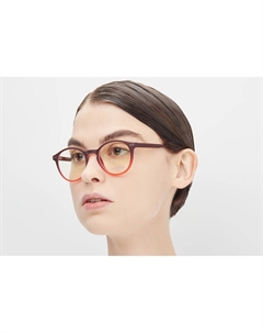 Очки компьютерные BLF005 C3 1 шт Lectio risus