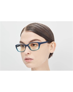 Очки компьютерные BLF004 C2 1 шт Lectio risus