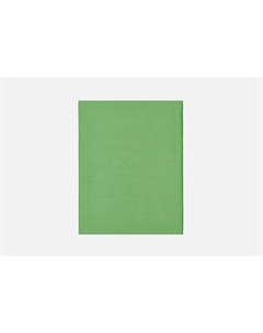 Простыня Моноспейс, зеленая, 220х240 1 шт Ecotex
