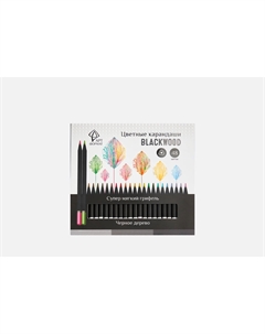 Цветные карандаши Blackwood 48 шт Артформат