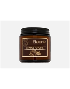 Ароматическая свеча Caramel popcorn 120 мл Plamelia