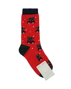 Носки, принт красная машинка с елочкой Story loris