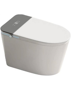 Унитаз биде Ester Smart CT10617 приставной с сиденьем Микролифт Ceruttispa