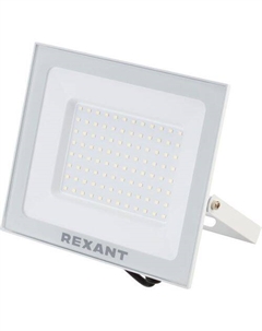 Прожектор уличный 605-027, 100Вт Rexant