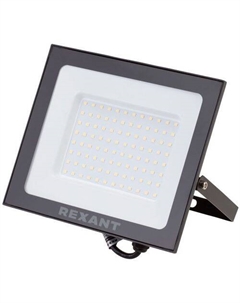 Прожектор уличный 605-034, 100Вт Rexant
