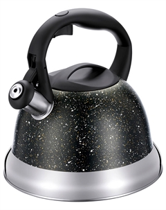 Чайник для плиты inox Linea TEA, 2.8 л, со свистком, черный/золотой металлик (93-TEA-48) Regent