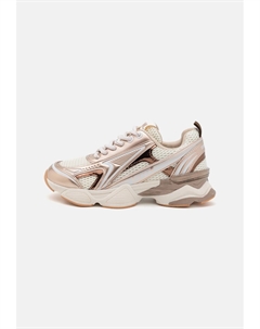 Низкие кеды SPEEDSTER, золотой Steve madden