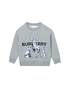 Детская толстовка, серый Burberry