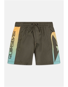 Пляжные шорты EVERYDAY HOLMES VOLLEY, хаки Quiksilver