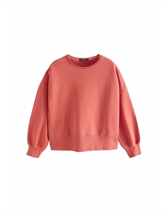 Толстовка RAW HEM DETAIL WASHED CREW NECK, красный Next