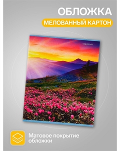 Комплект тетрадей, 96 листов в клетку Calligrata