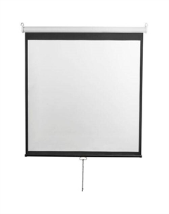 Экран Optimal-D DSOD-1108, 300х300 см, 1:1, настенно-потолочный Digis