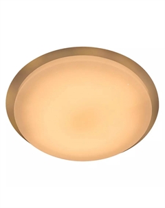 Потолочный светильник Saturn GSMCL-032-Smart-48-R 800305 General