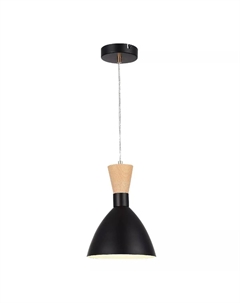 Подвесной светильник Vista SLE1256-403-01 Evoluce