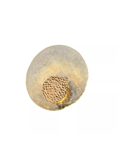 Настенный светильник Eugenia APL.336.11.07 Aployt